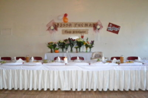 pulmaisa